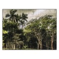 ptnowroliimprimepremiumcs350canvassatin350gsm-914mmx12m100bawena90264019431_6.jpg