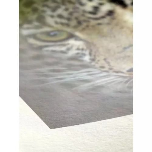 papierwrolihahnemuhlebamboo290g-1270mmx12m10643468_1.jpg