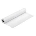 Epson *** PremierArt WaterResistant Canvas Roll, 44 x 12,2 m, 350g/m2 (C13S041848)