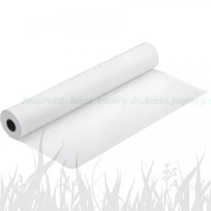 Epson Premium Semimatte Photo Paper Roll, 44 x 30,5 m, 260g/m2 (C13S042152)