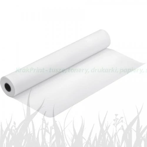 Epson Premium Semimatte Photo Paper Roll, 44 x 30,5 m, 260g/m2 (C13S042152)