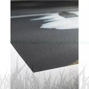 Papier w roli Hahnemuhle Photo Rag Bright White 310g - 1118mm x 12m (10643142)
