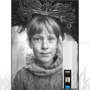 Papier w roli Ilford Galerie Cotton Artist Textured 310g - 1118mm x 12m (2004057)