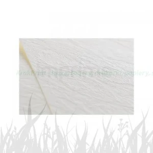 Papier ozdobny IMPRIME Elfenbein Chamois Leather 134 246g/m2 - kremowy (A4/20 ark.) (IMP-06)