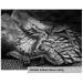 Papier IMPRIME Premium IPS260 Iridium Silver 260gsm - A4, 50 arkuszy (90238014740)