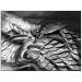 Papier IMPRIME Premium IPS260 Iridium Silver 260gsm - A4, 50 arkuszy (90238014740)
