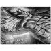 Papier IMPRIME Premium IPS260 Iridium Silver 260gsm - A4, 50 arkuszy (90238014740)