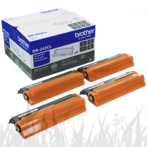 Bęben Brother DCP-L3510CDW  | 18tys. (DR-243CL) Color