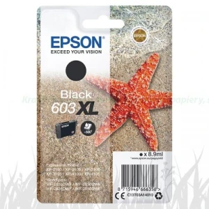 Tusz Epson Nr.603XL do XP-2100, 2105, 3100 | 500str. (C13T03A14010) Black