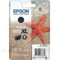 Tusz Epson Nr.603XL do XP-2100, 2105, 3100 | 500str. (C13T03A14010) Black