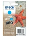 Tusz Epson Nr.603XL do XP-2100, 2105, 3100 | 350str. (C13T03A24010) Cyan