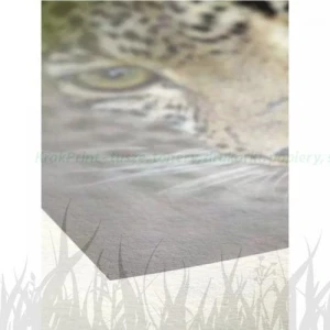 Papier w roli Hahnemuhle Bamboo 290g - 1270mm x 12m (10643468)