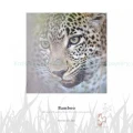Papier w roli Hahnemuhle Bamboo 290g - 1270mm x 12m (10643468)