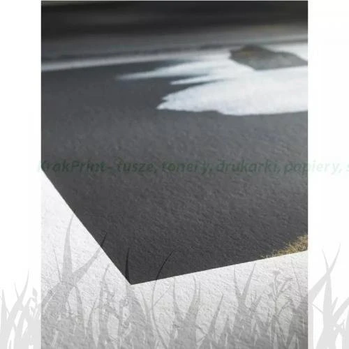 Papier w roli Hahnemuhle Photo Rag Bright White 310g - 1118mm x 12m (10643142)