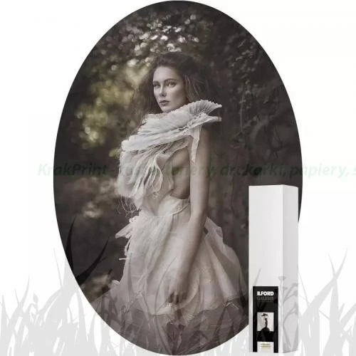 Papier w roli Ilford Galerie Mono Silk Warmtone 250g - 610mm x 12m (2005071)