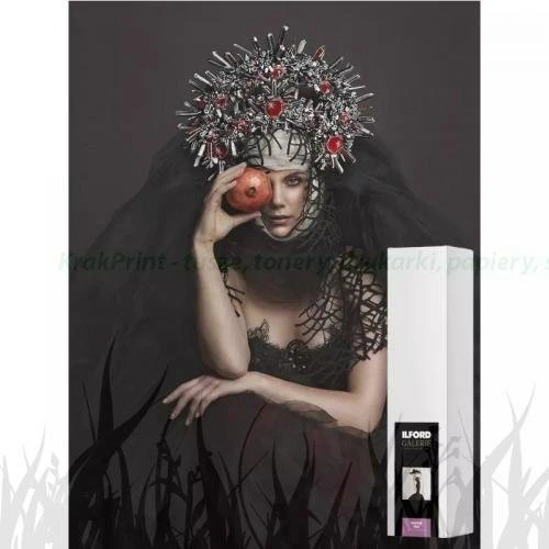 Papier w roli Ilford Galerie Raster Silk 290g - 432mm x 15,2m (2003175)