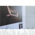 Papier w roli Ilford Galerie Raster Silk 290g - 432mm x 15,2m (2003175)