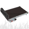 Pas transmisyjny Lexmark Oryginał 40X7103 (C792/X792 )