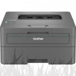 Drukarka laserowa mono Brother HL-L2442DW (HLL2442DWYJ1)