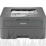 Drukarka Brother HL-L2402D (HLL2402DYJ1)