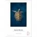 Papier HAHNEMUHLE FINEART BARYTA 325gsm 1118mm x 12m (44") (10643473)