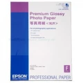 Epson Premium Glossy Photo Paper, DIN A2, 250g/m2, 25 Arkuszy (C13S042091)