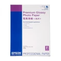Epson Premium Glossy Photo Paper, DIN A2, 250g/m2, 25 Arkuszy (C13S042091)