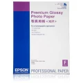 Epson Premium Glossy Photo Paper, DIN A2, 250g/m2, 25 Arkuszy (C13S042091)