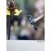 Papier Fine Art AWAGAMI Bamboo 170 - A2 (10 ark.) (IJ-1322)