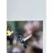 Papier Fine Art AWAGAMI Bamboo 170 - A2 (10 ark.) (IJ-1322)