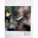 Papier Fine Art AWAGAMI Bamboo 170 - A2 (10 ark.) (IJ-1322)