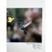 Papier Fine Art AWAGAMI Bamboo 170 - A2 (10 ark.) (IJ-1322)