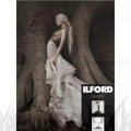 Papier barytowy fotograficzny Ilford Galerie Gold Fibre Pearl 290g - A4 (50 arkuszy) (2002693)