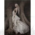 Papier barytowy fotograficzny Ilford Galerie Gold Fibre Pearl 290g - A4 (50 arkuszy) (2002693)