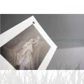 Papier barytowy fotograficzny Ilford Galerie Gold Fibre Pearl 290g - A4 (50 arkuszy) (2002693)