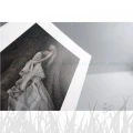Papier barytowy fotograficzny Ilford Galerie Gold Fibre Pearl 290g - A4 (50 arkuszy) (2002693)