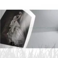 Papier barytowy fotograficzny Ilford Galerie Gold Fibre Pearl 290g - A4 (50 arkuszy) (2002693)
