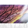 Papier fotograficzny mediaJET Lustre Premium 260g (A4) PMC 260FD - 50 arkuszy (0237059741)