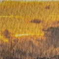 Papier fotograficzny mediaJET Museum Rag Textured 310 g (A4) - 25 arkuszy (0550004740)