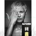 Papier fotograficzny Ilford Galerie Gold Fibre Rag 270g - A4 (100 arkuszy) (2004093)