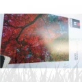 Papier fotograficzny Ilford Galerie Satin Photo 260g - A4 (25 arkuszy) (2001906)