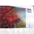 Papier fotograficzny Ilford Galerie Satin Photo 260g - A4 (25 arkuszy) (2001906)
