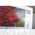 Papier fotograficzny Ilford Galerie Satin Photo 260g - A4 (25 arkuszy) (2001906)