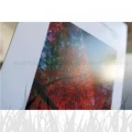 Papier fotograficzny Ilford Galerie Satin Photo 260g - A4 (25 arkuszy) (2001906)