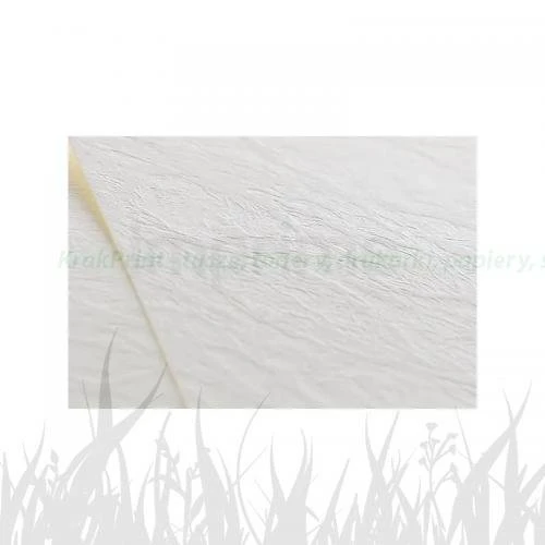Papier ozdobny IMPRIME Elfenbein Chamois Leather 134 246g/m2 - kremowy (A4/20 ark.) (IMP-06)