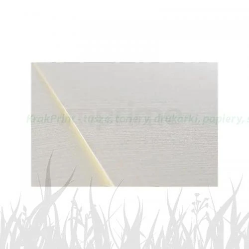 Papier ozdobny IMPRIME Elfenbein Chamois Linen 137 246g/m2 - kremowy (A4/20 ark.) (IMP-02)
