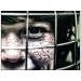 Papier IMPRIME Premium SM260 Satin Warmtone 260gsm - A4, 50 arkuszy (90237059741)