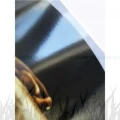 Papier fotograficzny Epson SureLab Gloss 250g 10x15 (400 ark.) (C13S400209)