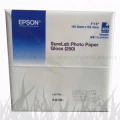 Papier fotograficzny Epson SureLab Gloss 250g 10x15 (400 ark.) (C13S400209)