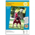 Hewlett-Packard Q8697A - Papier (Advanced Photo Paper A3)